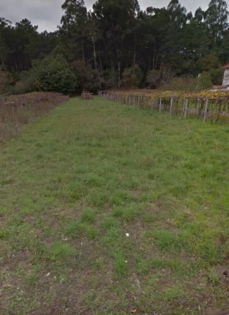 Terreno en pazo s/n