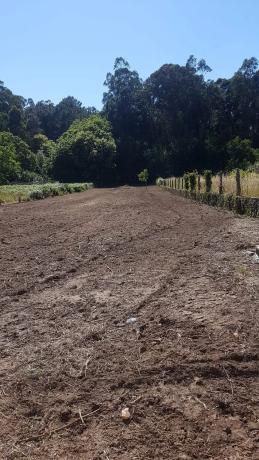 Terreno en pazo s/n