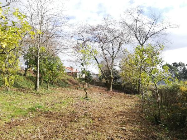 Terreno en calle Pazo, km 0