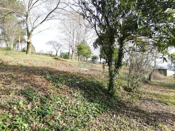 Terreno en calle Pazo, km 0