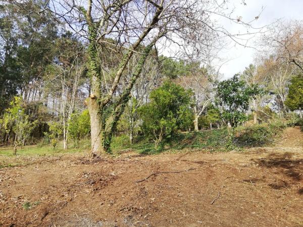 Terreno en calle Pazo, km 0