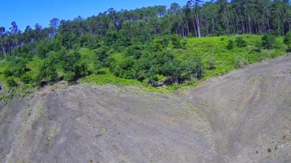 Terreno en Polígono 55, 147