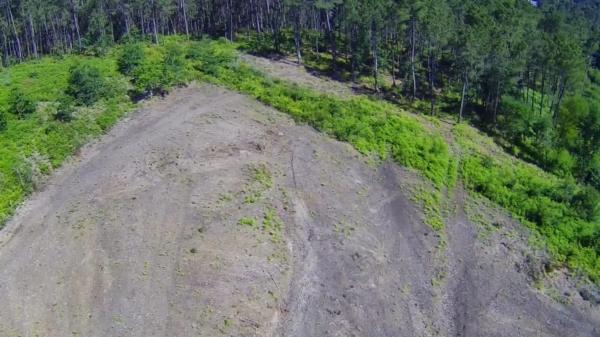 Terreno en Polígono 55, 147