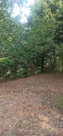 Terreno en Lugar de Valeixe, 141 Polgono