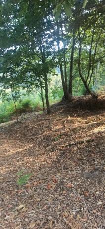 Terreno en Lugar de Valeixe, 141 Polgono