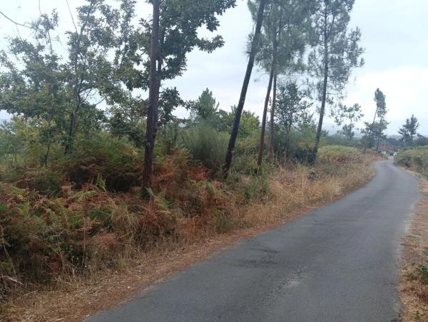 Terreno en Salvaterra de Miño