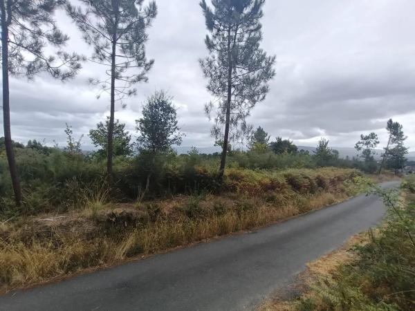 Terreno en Salvaterra de Miño