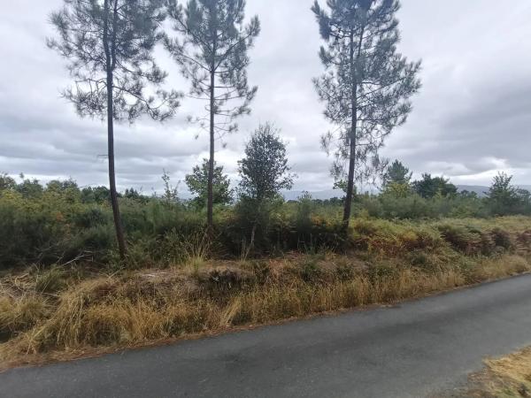 Terreno en Salvaterra de Miño