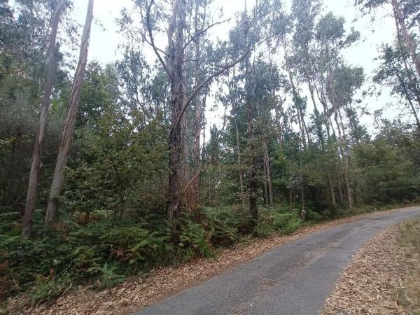 Terreno en Salvaterra de Miño