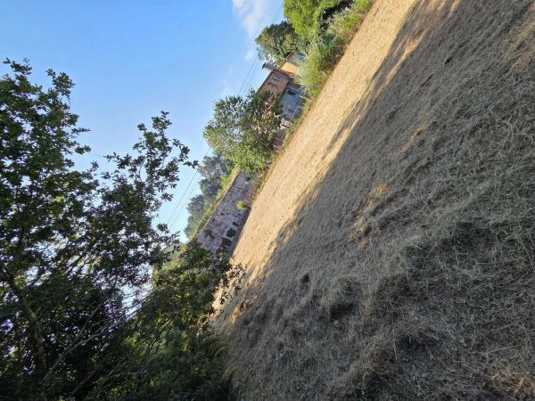 Terreno en calle Briabi, 1