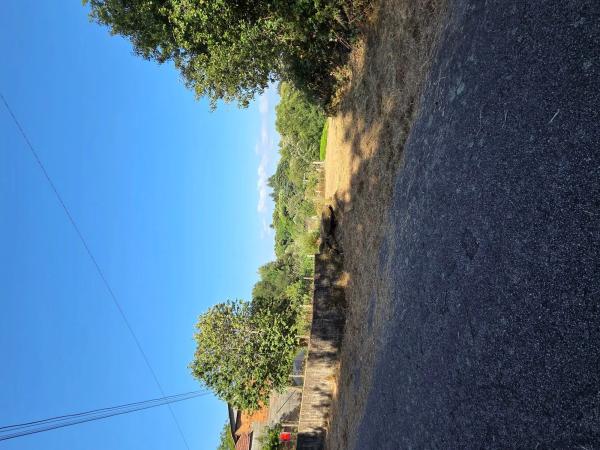 Terreno en calle Briabi, 1