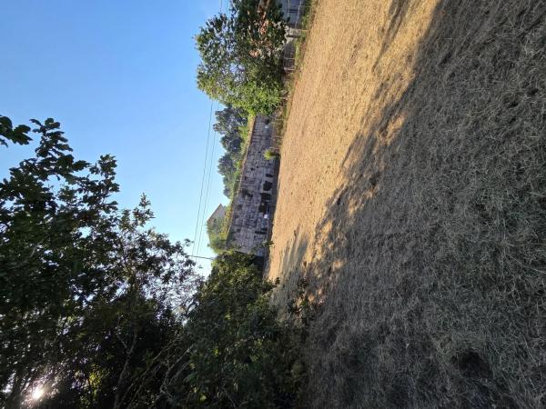 Terreno en calle Briabi, 1