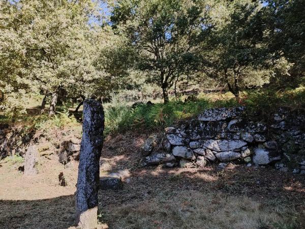 Terreno en San Martiño de Berducido s/n