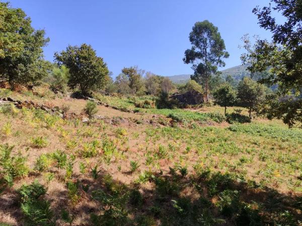 Terreno en San Martiño de Berducido s/n