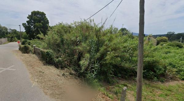 Terreno en Santo Adrián s/n Sn