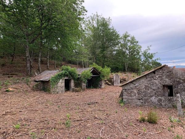 Terreno en camino da Bouza, 8
