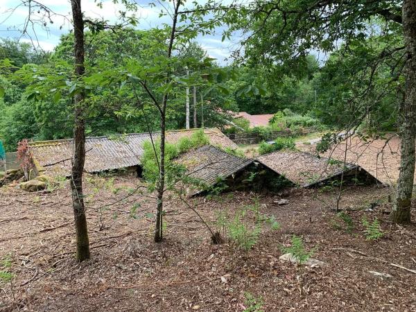 Terreno en camino da Bouza, 8