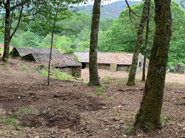 Terreno en camino da Bouza, 8