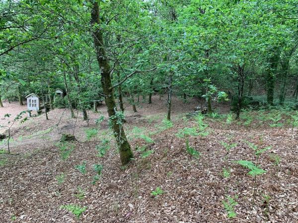 Terreno en camino da Bouza, 8