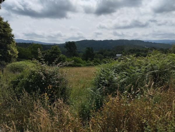 Terreno en Escalinata Fornelos s/n