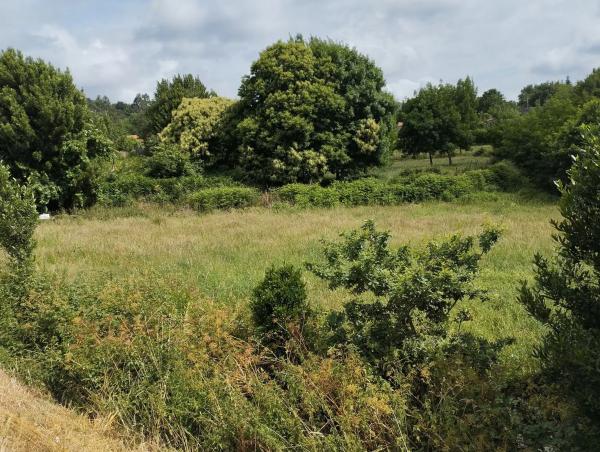 Terreno en Escalinata Fornelos s/n