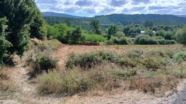 Terreno en Escalinata Fornelos s/n