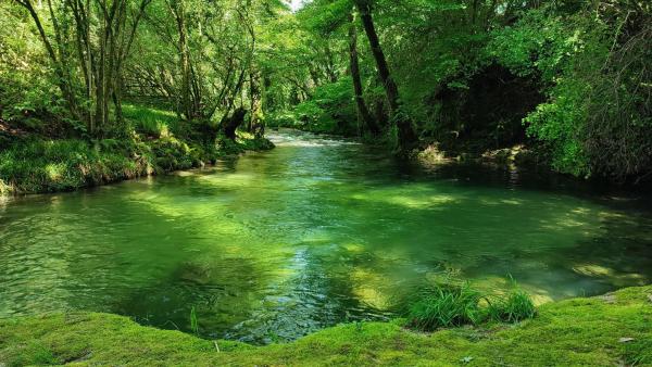 Terreno en Mera s/n sn