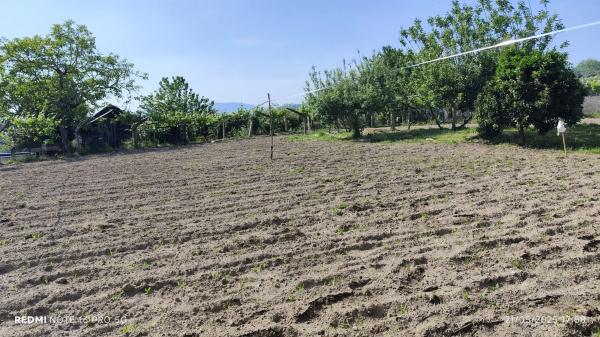 Terreno en Lugar Viña Pazo