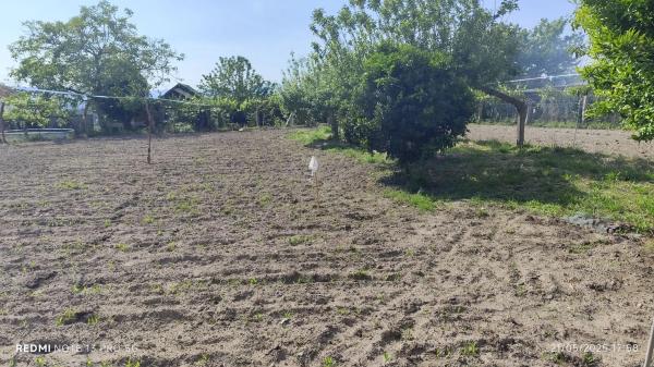 Terreno en Lugar Viña Pazo