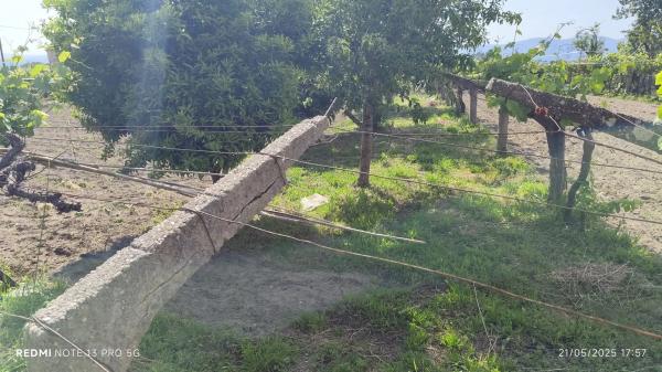 Terreno en Lugar Viña Pazo