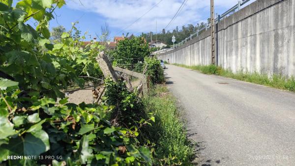 Terreno en Lugar Viña Pazo