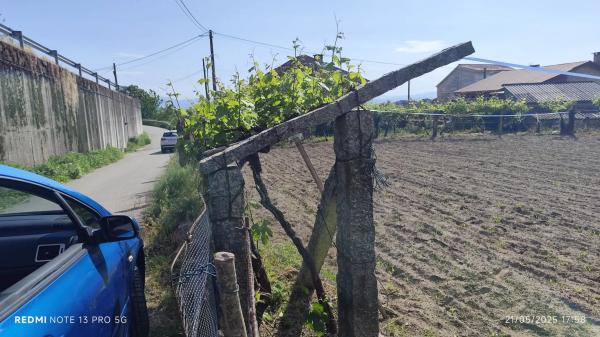 Terreno en Lugar Viña Pazo