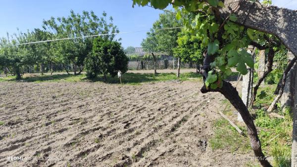 Terreno en Lugar Viña Pazo