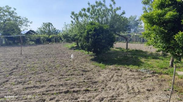 Terreno en Lugar Viña Pazo