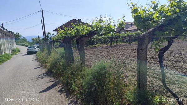 Terreno en Lugar Viña Pazo