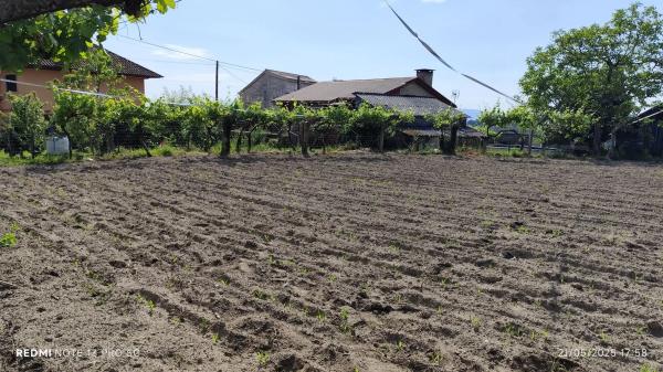 Terreno en Lugar Viña Pazo