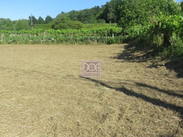 Terreno en Mondariz