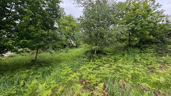 Terreno en Lugar Portela, 2