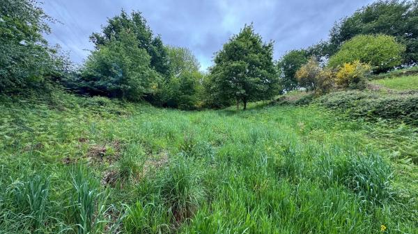 Terreno en Lugar Portela, 2