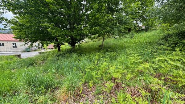 Terreno en Lugar Portela, 2