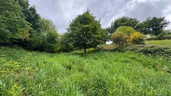 Terreno en Lugar Portela, 2