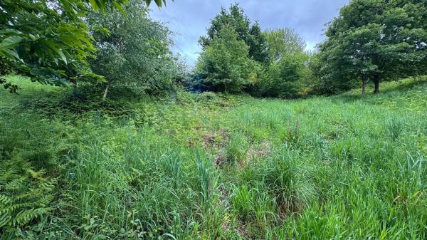 Terreno en Lugar Portela, 2