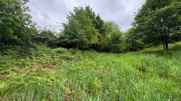 Terreno en Lugar Portela, 2