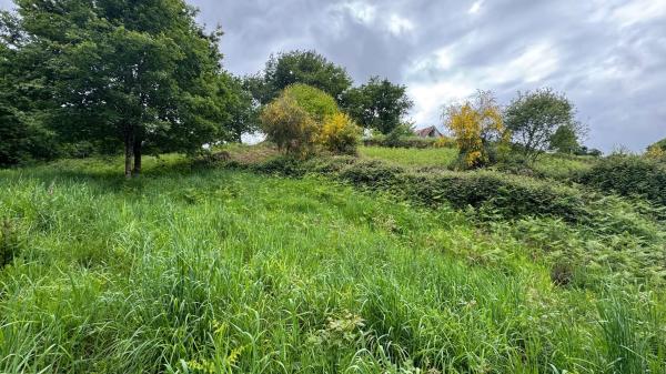 Terreno en Lugar Portela, 2