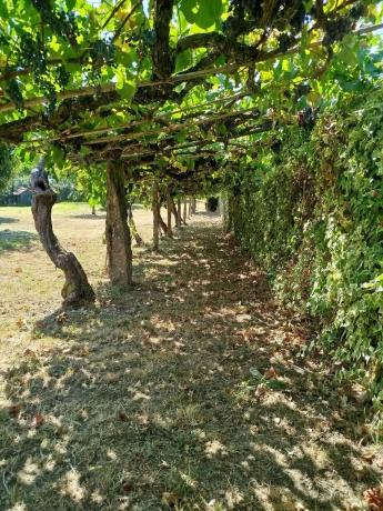 Terreno en barrio de sanpedro s/n