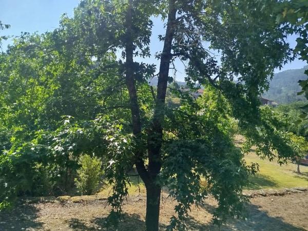 Terreno en barrio de sanpedro s/n