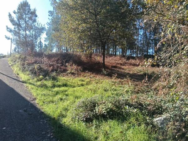 Terreno en Salvaterra de Miño