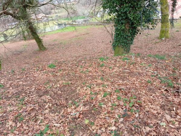 Terreno en Ponteareas