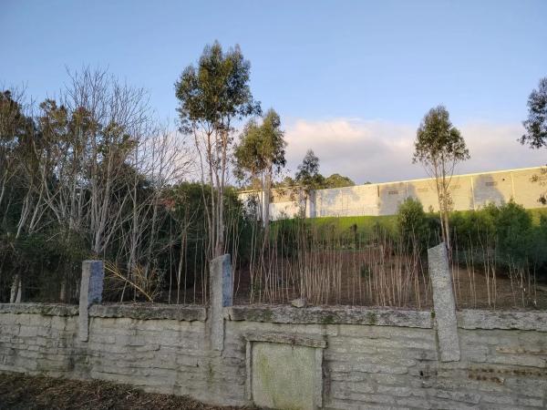 Terreno en camino de Mondariz, km 2