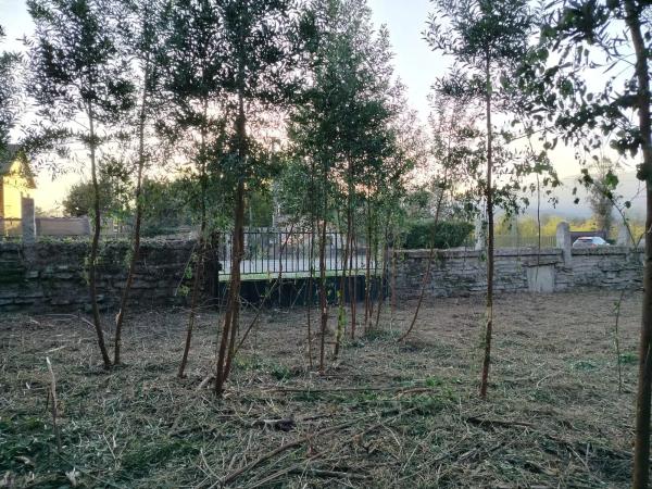 Terreno en camino de Mondariz, km 2